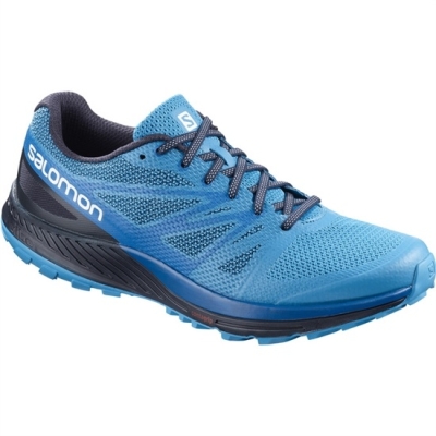 Salomon SENSE ESE トレイルランニングシューズ メンズ 青 ネイビー | JP-0956KNA